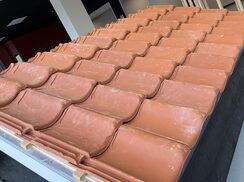 IMG_0691